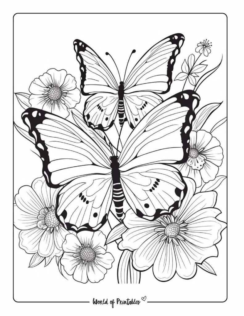 Butterfly coloring pages for kids adults