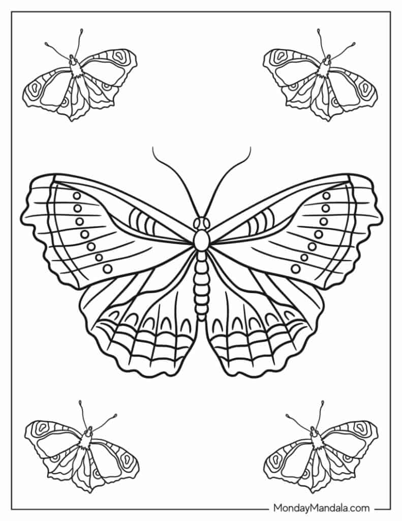Butterfly coloring pages free pdf printables