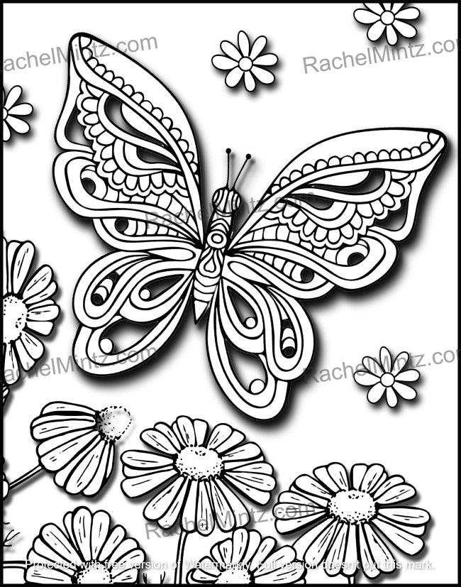 D butterflies ð floating butterflies on beautiful flowers printable â rachel mintz coloring books