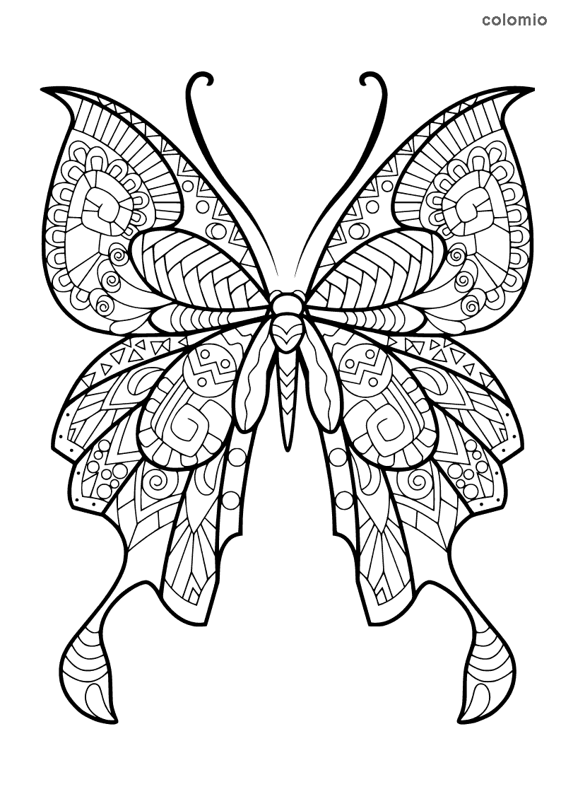 Butterflies coloring pages free printable butterfly coloring sheets