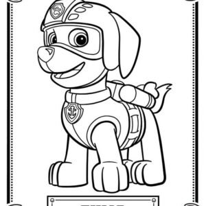 Paw patrol coloring pages printable for free download
