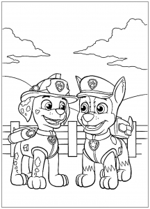 Paw patrol