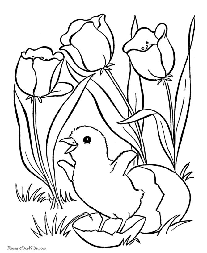 Baby chick under tulips spring coloring pages easter coloring pictures flower coloring pages