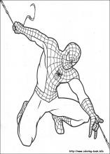 Spiderman coloring pages on coloring