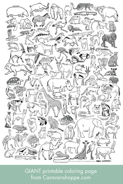 African animals giant coloring poster caravan shoppe