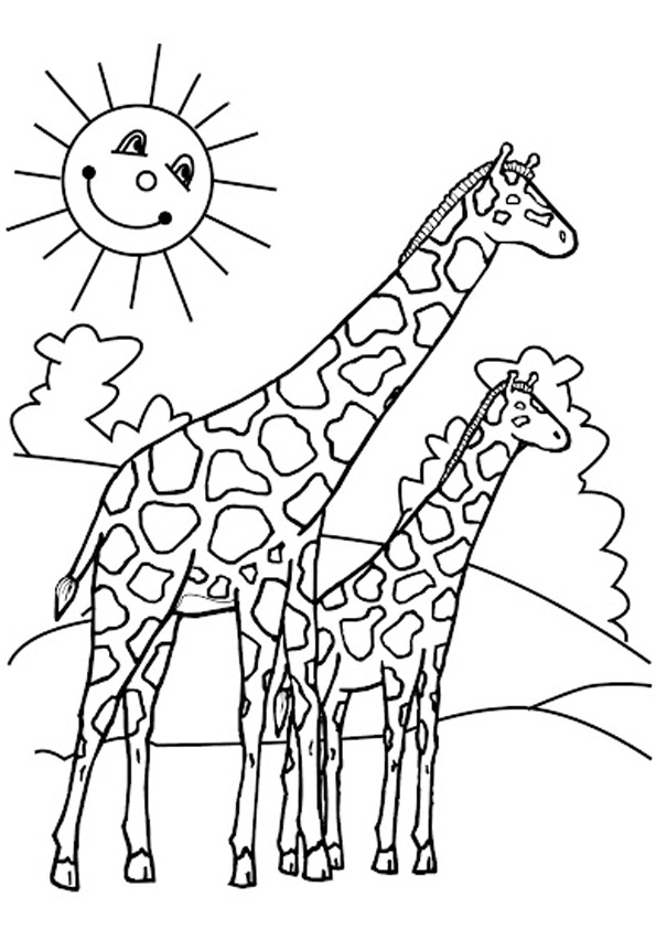 Coloring pages free printable giraffe coloring pages