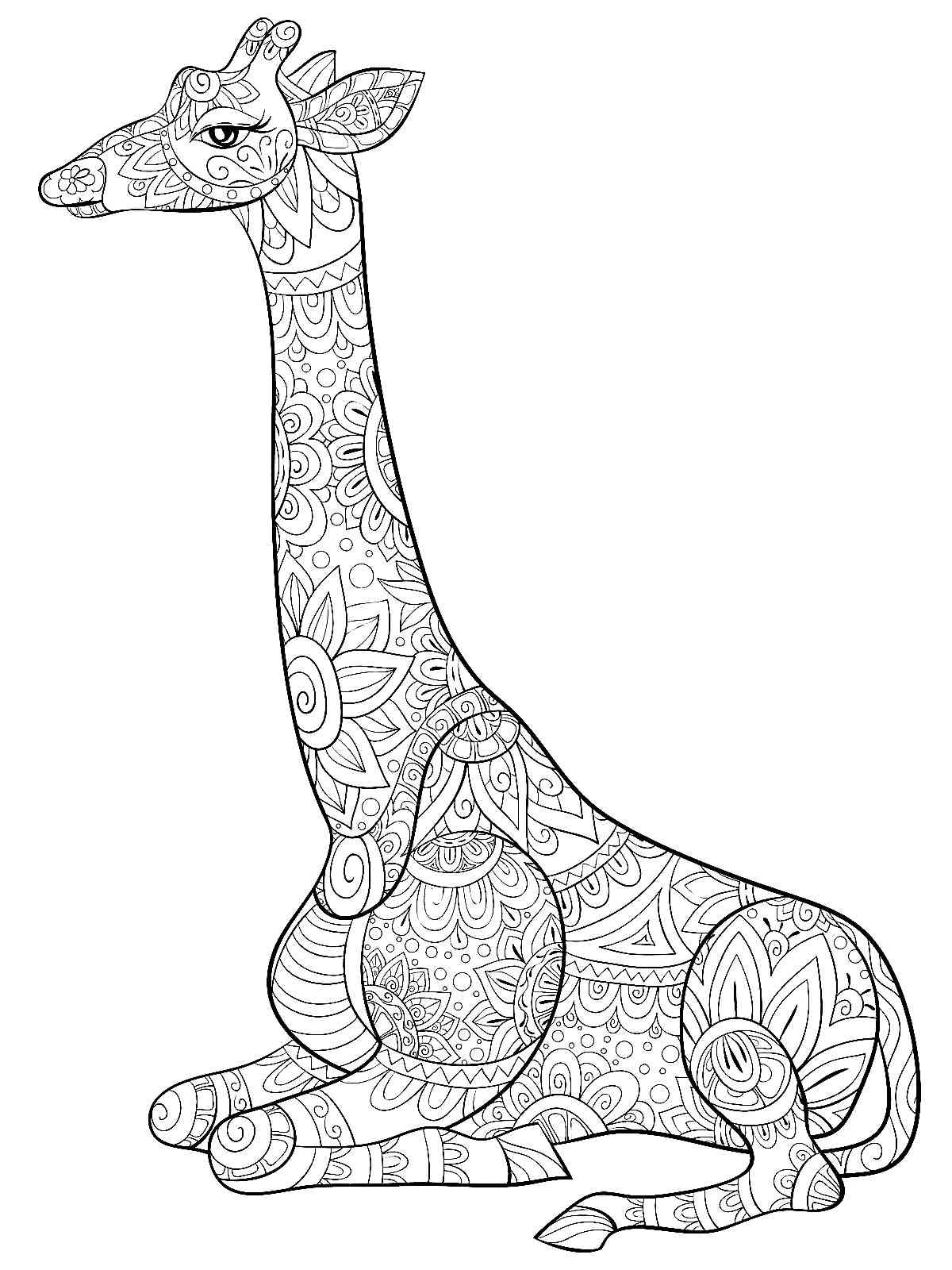 Giraffe coloring pages for adults