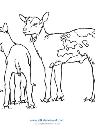 Goat coloring page all kids network