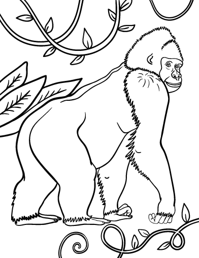 Free gorilla coloring page