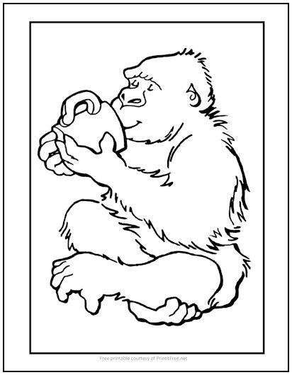Gorilla with coffee coloring page print it free