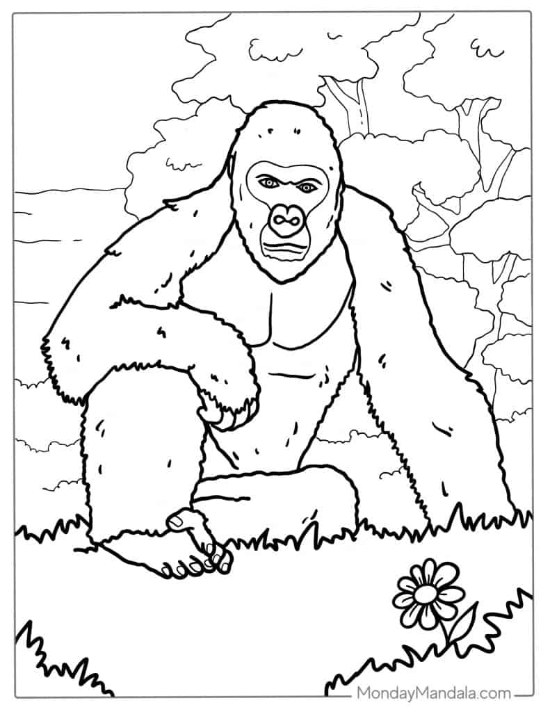 Gorilla coloring pages free pdf printables