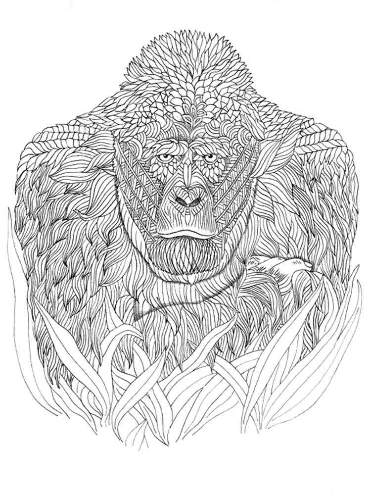 Gorilla coloring pages for adults