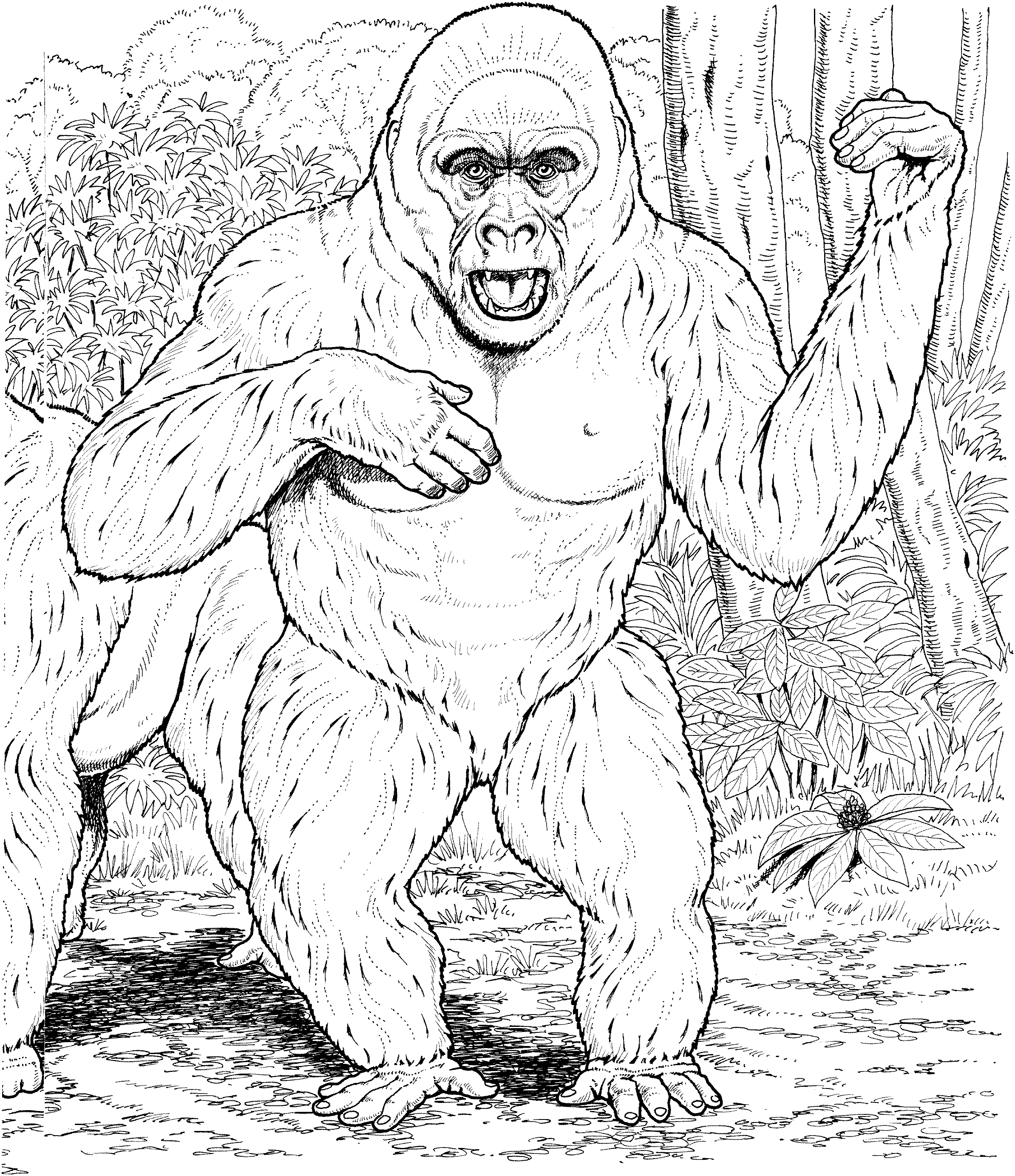 Free gorilla coloring pages