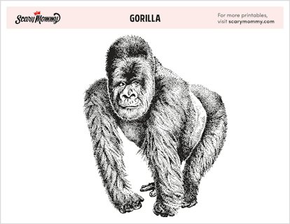 Quit monkeying around and print out these gorilla coloring pages