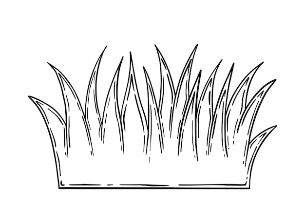 Premium vector grass plant doodle linear