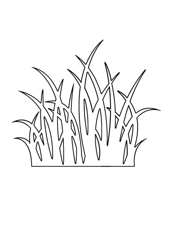 Grass outline coloring pages color luna coloring pages paper cut art tree drawing simple