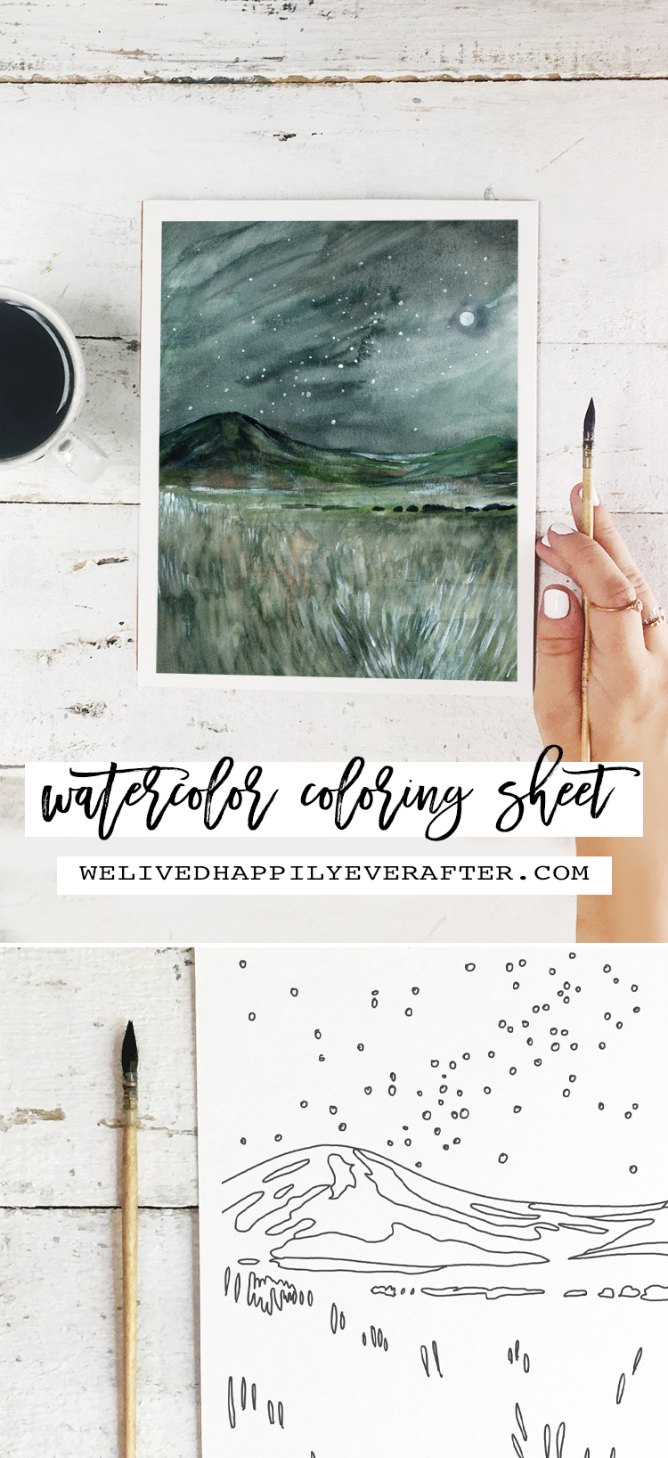 Prairie grass star gazing watercolor painting