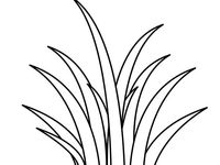 Grass coloring pages ideas coloring pages grass coloring pictures