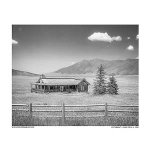 Realistic grayscale coloring pages