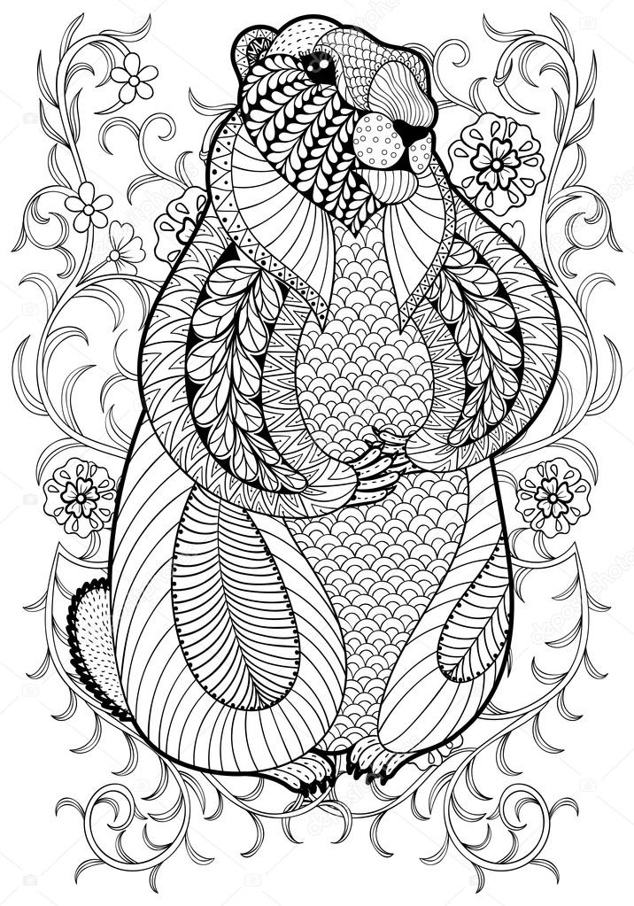 Hand drawn artistic marmot groundhog in flowers for adult color stock vector by ipanki