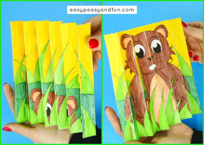 Groundhog day agamograph template