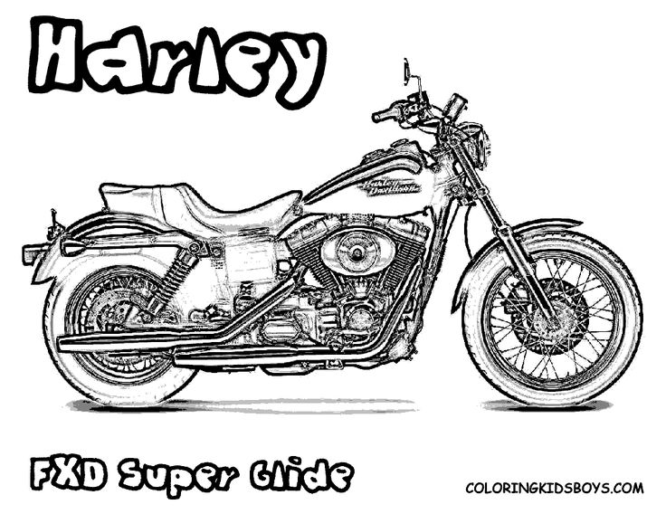 Harley