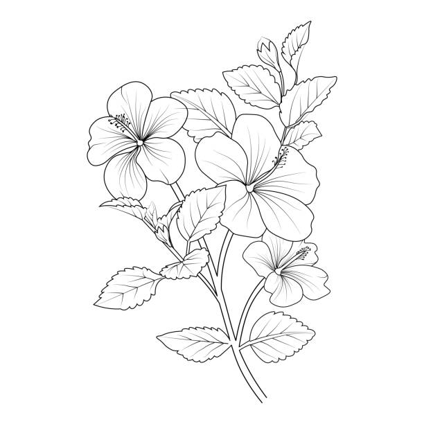 Tropical plants and hibiscus flowers coloring book page stock illustrations royalty