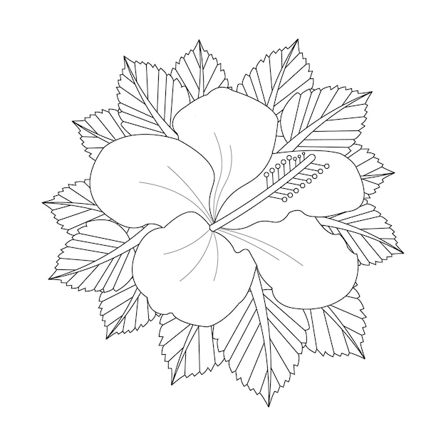 Premium vector hibiscus flower coloring page with line art flower sketch vector illustration