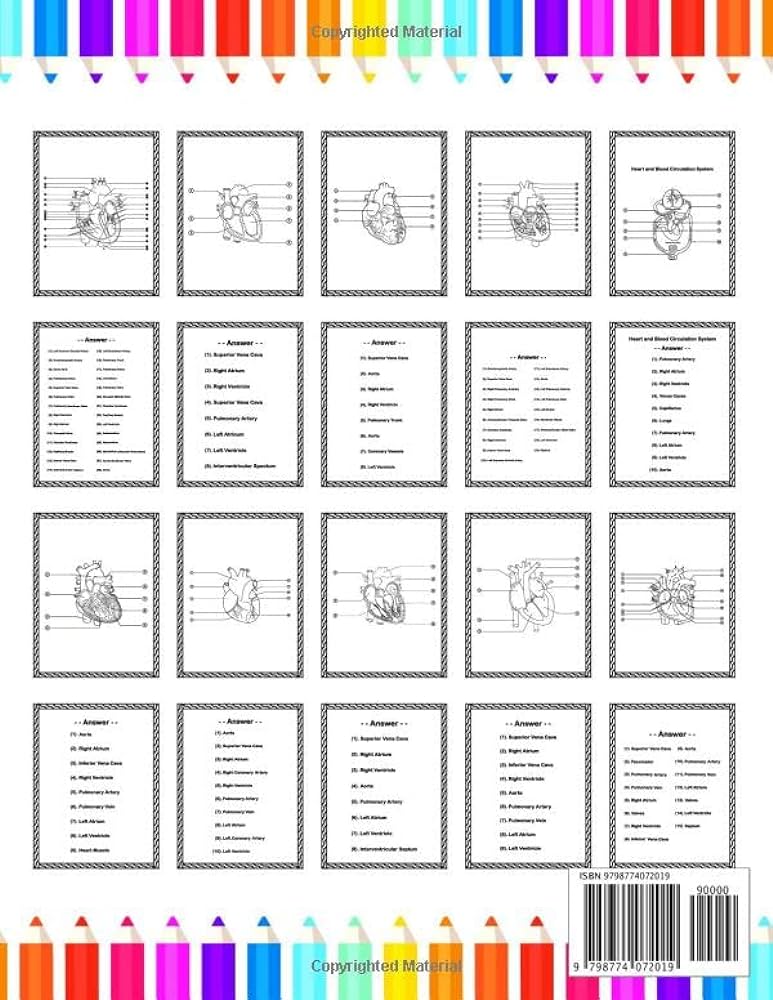 Heart anatomy coloring book incredibly detailed self