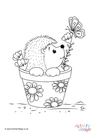 Hedgehog louring pages
