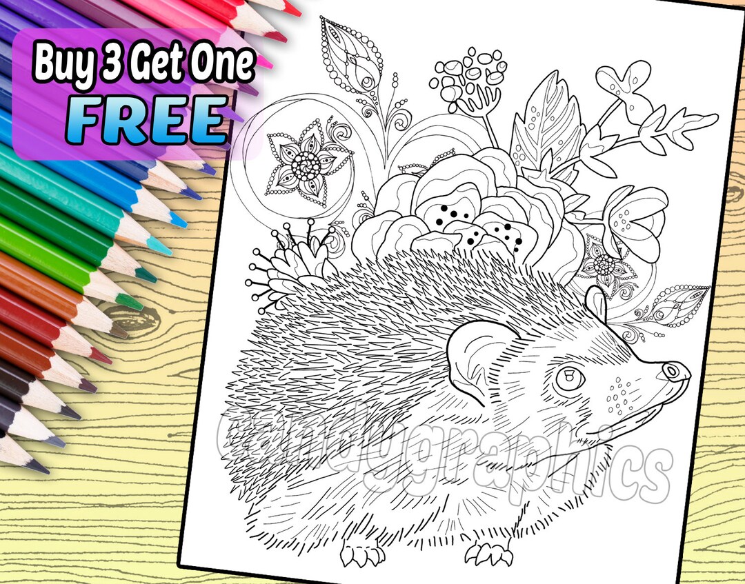 Adorable hedgehog adult coloring book page printable instant download
