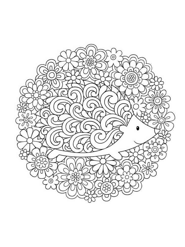 Hedgehog coloring pages for adults