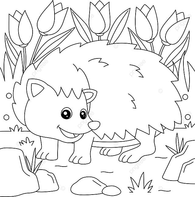 Hedgehog coloring page for kids graphic colouring book coloring book vector book drawing ring drawing kid drawing png and vector with transparent background for free download