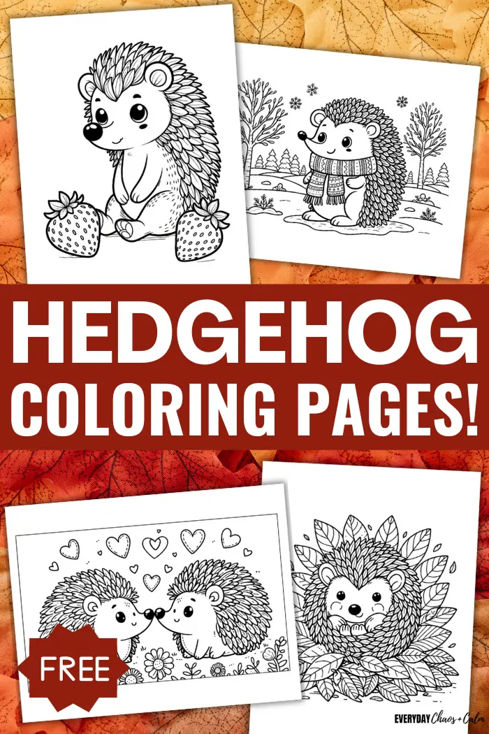 Free printable hedgehog coloring pages