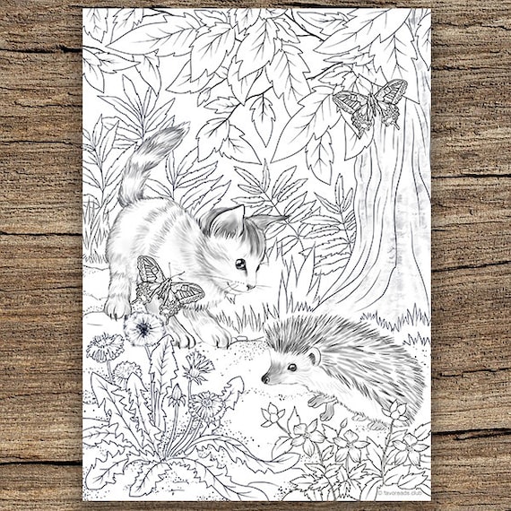 Cat and hedgehog printable adult coloring page from favoreads coloring book pages for adults and kids coloring sheets coloring designs