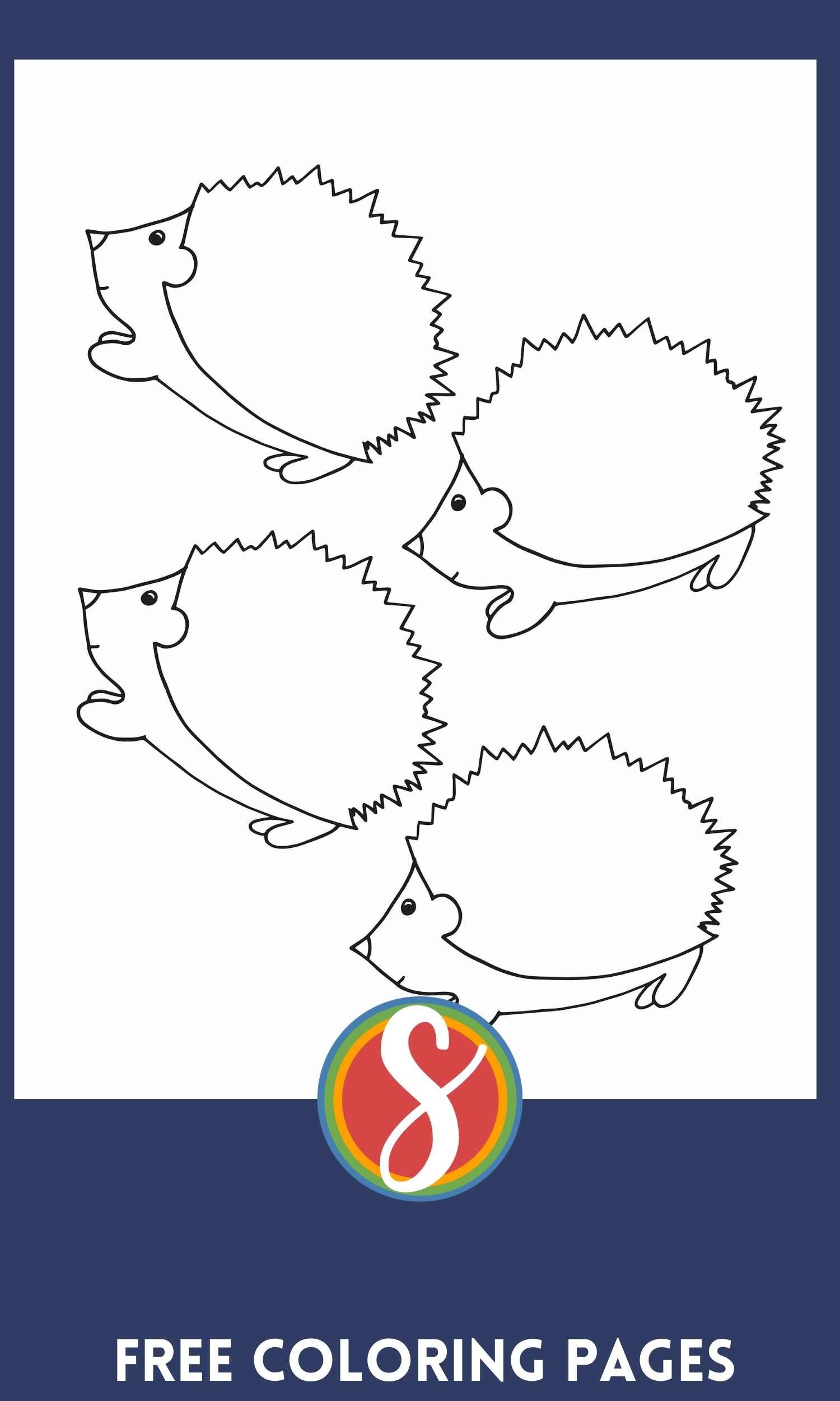 Free hedgehog coloring pages â stevie doodles