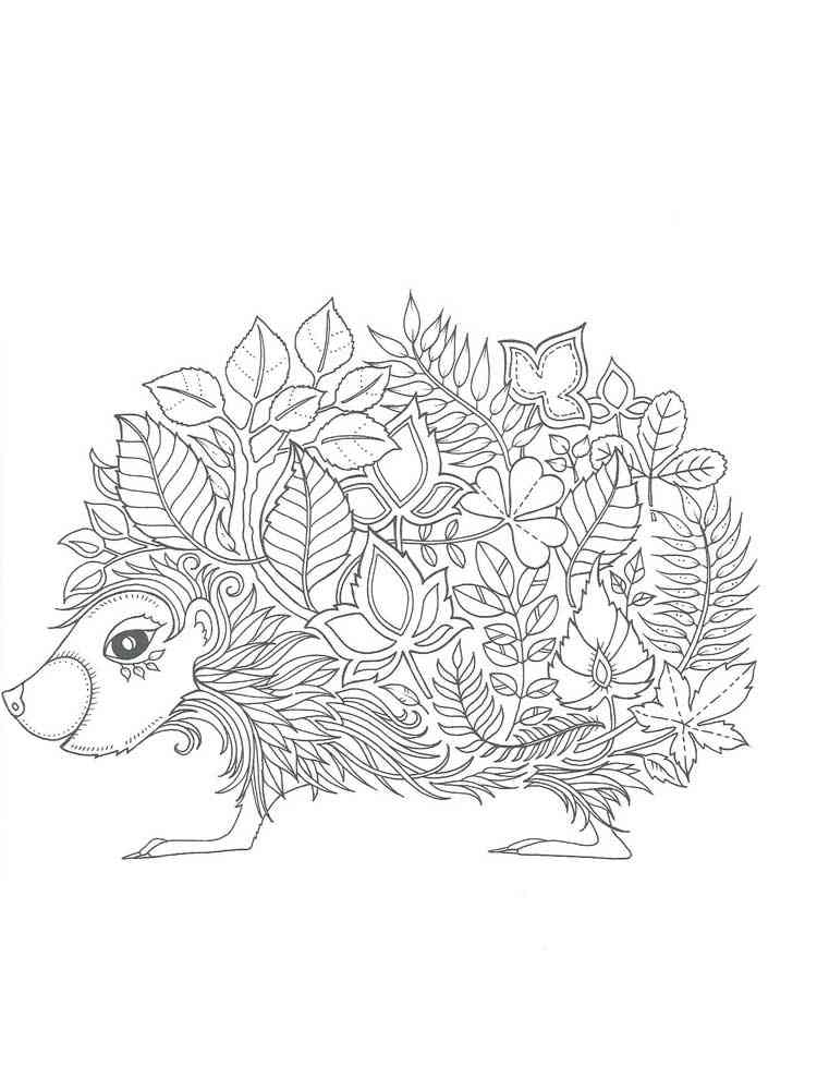 Free printable hedgehog coloring pages for adults