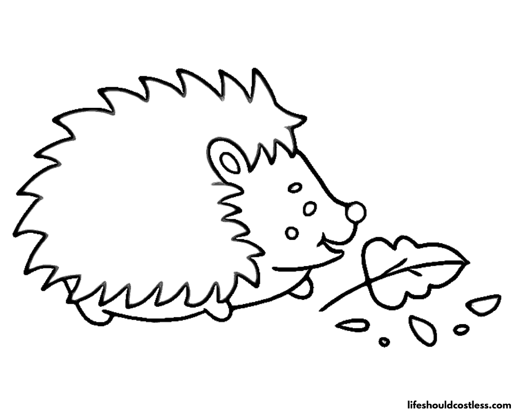 Hedgehog coloring pages free printable pdf templates