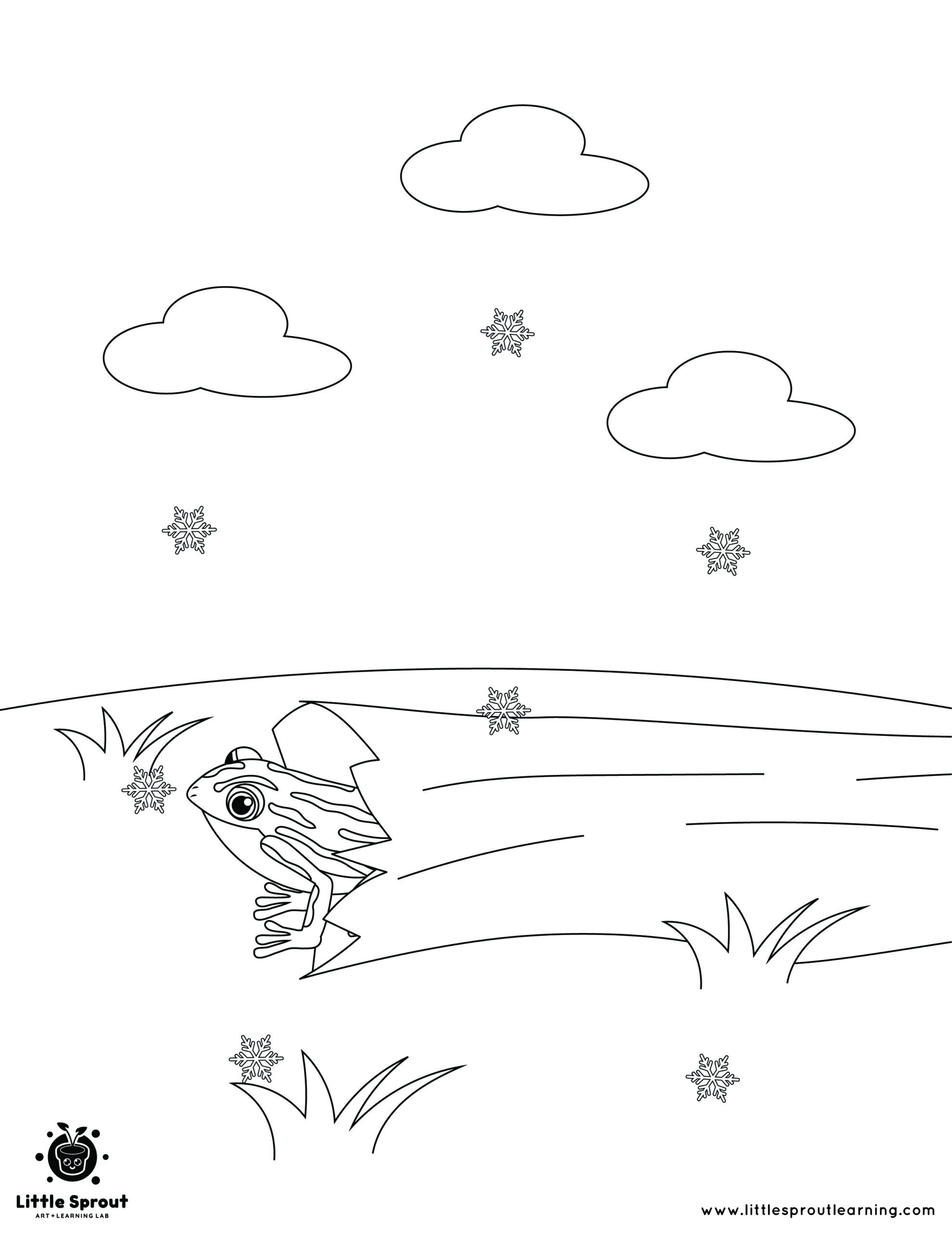 Best hibernating animal coloring pages