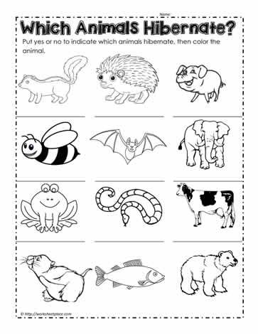 Animals that hibernate hibernation preschool activities hibernation preschool animals that hibernate