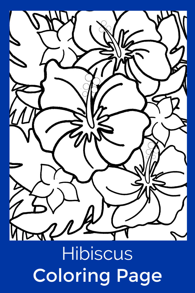Free hibiscus coloring page for kids and adults