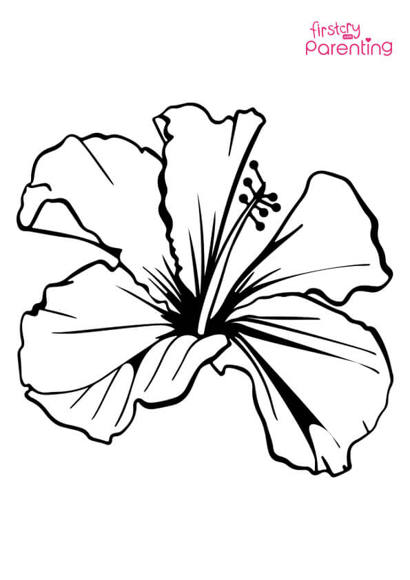 Easy printable hibiscus coloring pages for kids