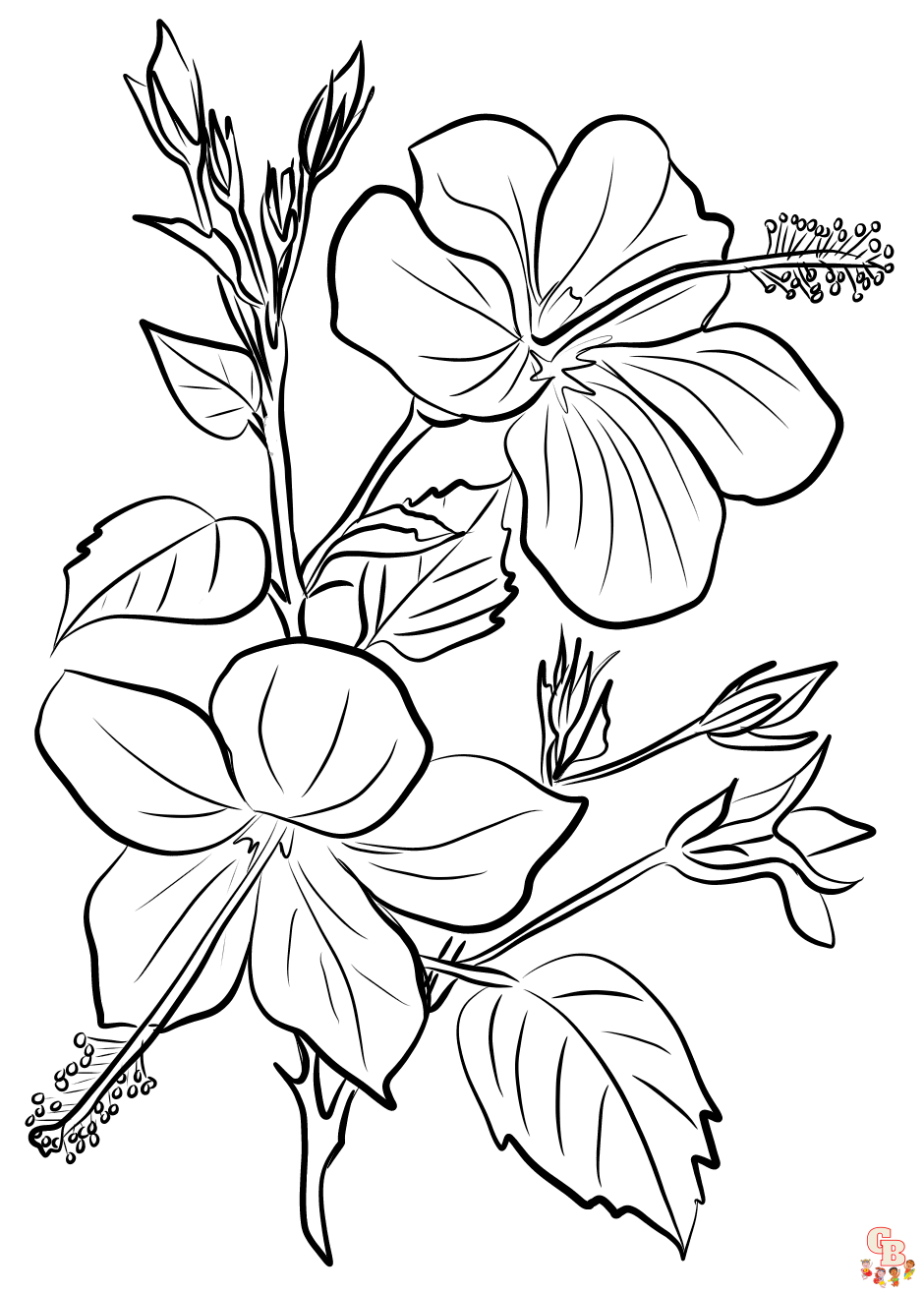 Discover the joy of coloring with hibiscus coloring pages
