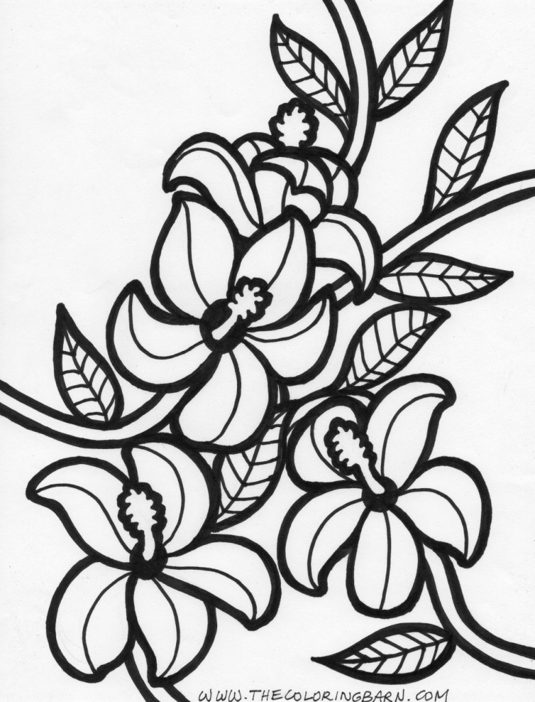 Flower coloring pages