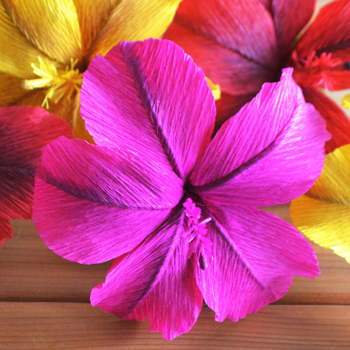 Paper hibiscus template â ta muchly paper blooms