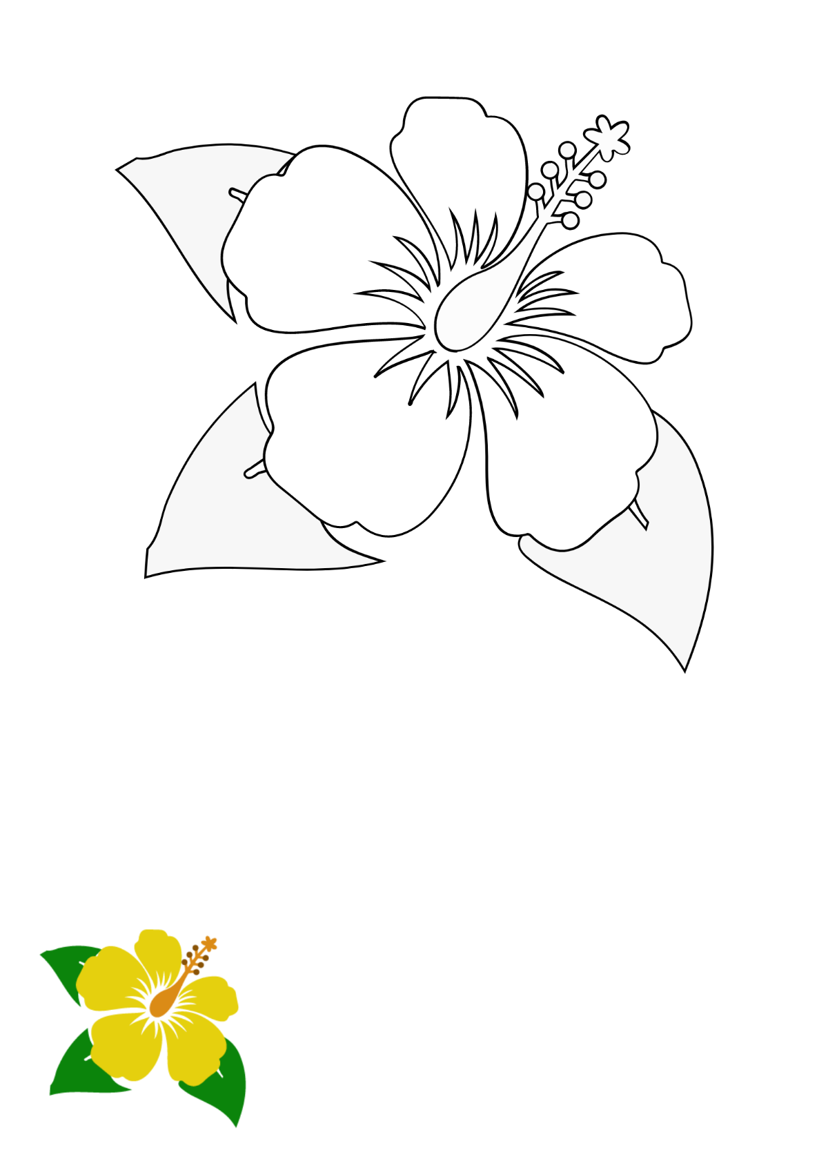 Free hibiscus flower