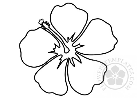 Hawaiian hibiscus flower outline