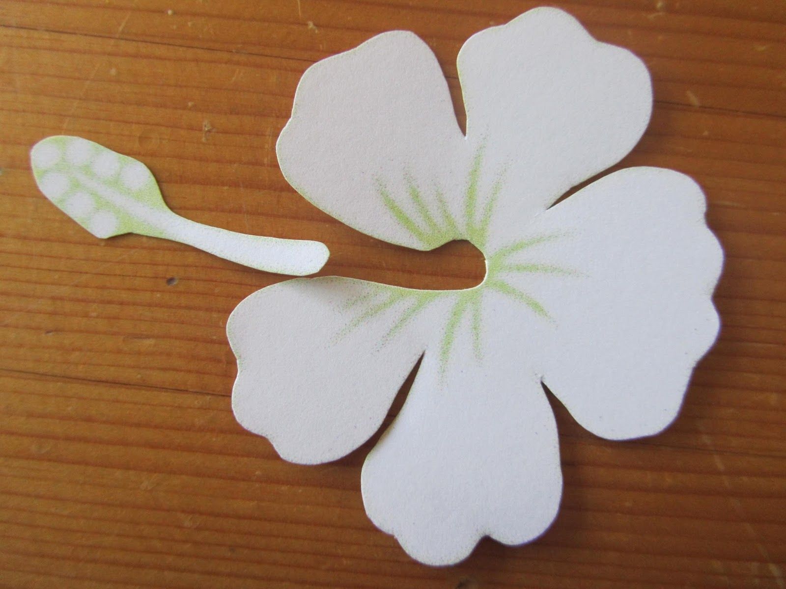 Pin by elianna lopez on birthday party paper flower template paper flowers paper flowers craft