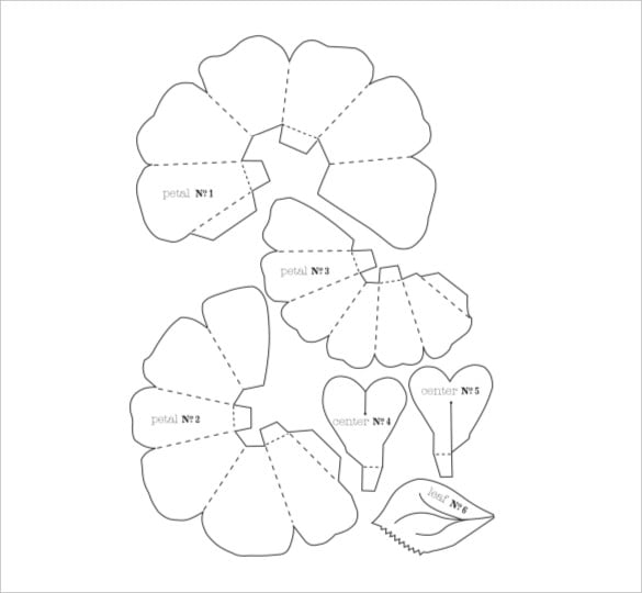 Flower petal s