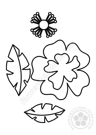 Free hibiscus flower pattern